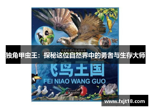 独角甲虫王：探秘这位自然界中的勇者与生存大师